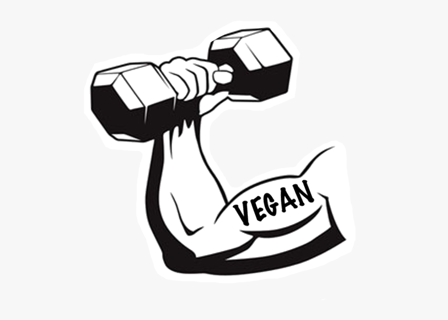 Collection Of Free Drawing Muscles Muscular Animal, Transparent Clipart