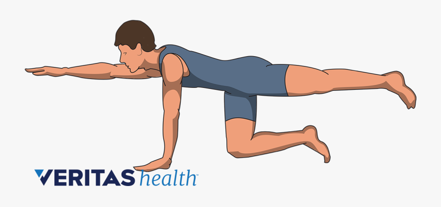 Clip Art Back Exercises - Exercises After Spinal Fusion, Transparent Clipart