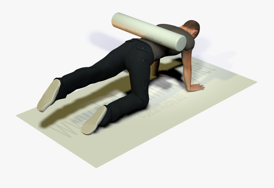 Clip Art Bird Dog Stretch - Aerobic Exercise, Transparent Clipart