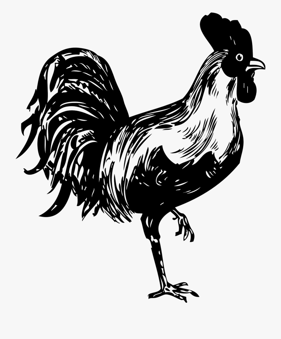 Rooster Bird Black And White Free Picture - Rooster Stencil, Transparent Clipart