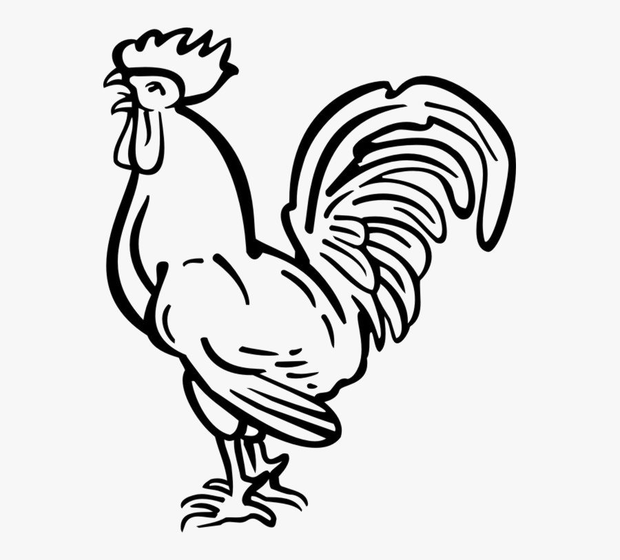 Transparent Rooster Clipart Black And White - Rooster Outline Black White, Transparent Clipart