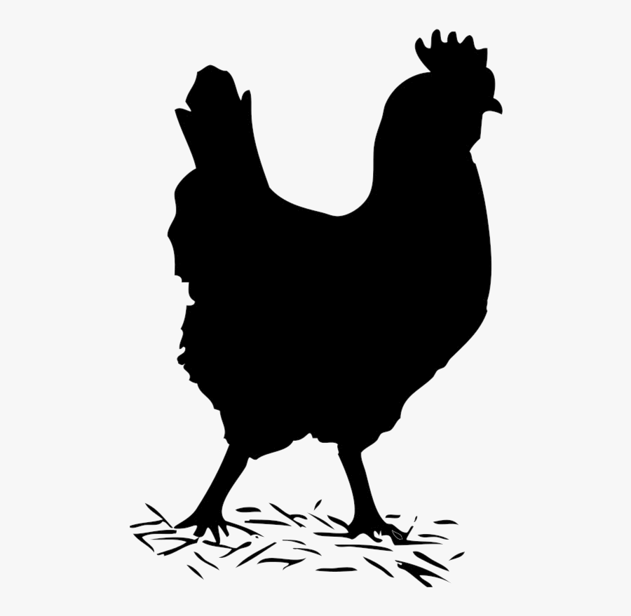 Chicken Clipart Track Hen Black And White Transparent - Hen Black And White, Transparent Clipart