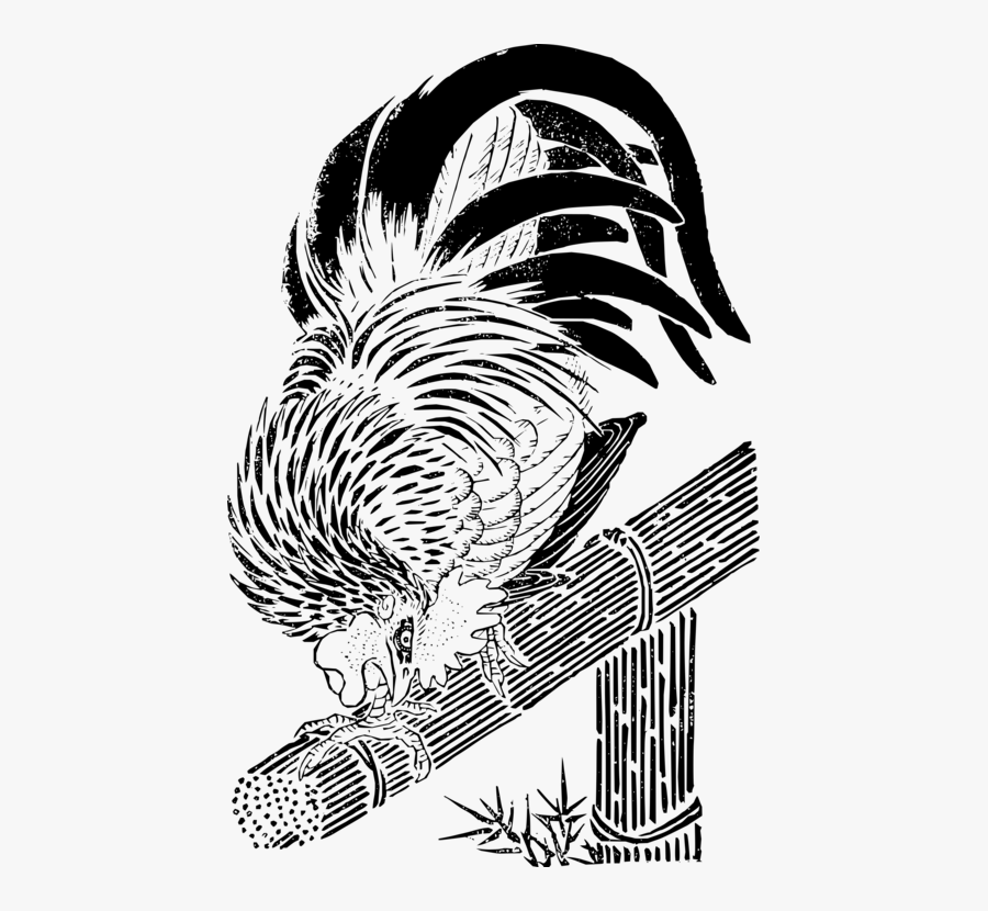 Art,monochrome Photography,headgear - Rooster, Transparent Clipart