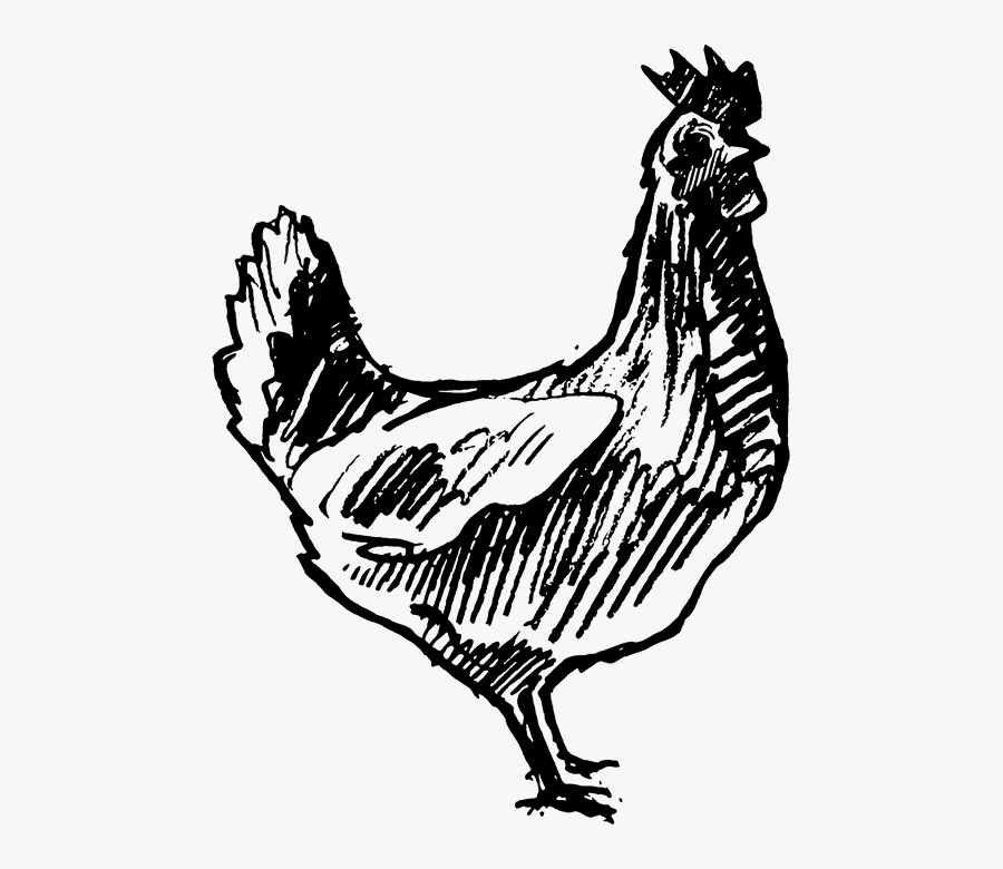 Transparent Rooster Clipart Black And White - Chicken Farm Vector, Transparent Clipart