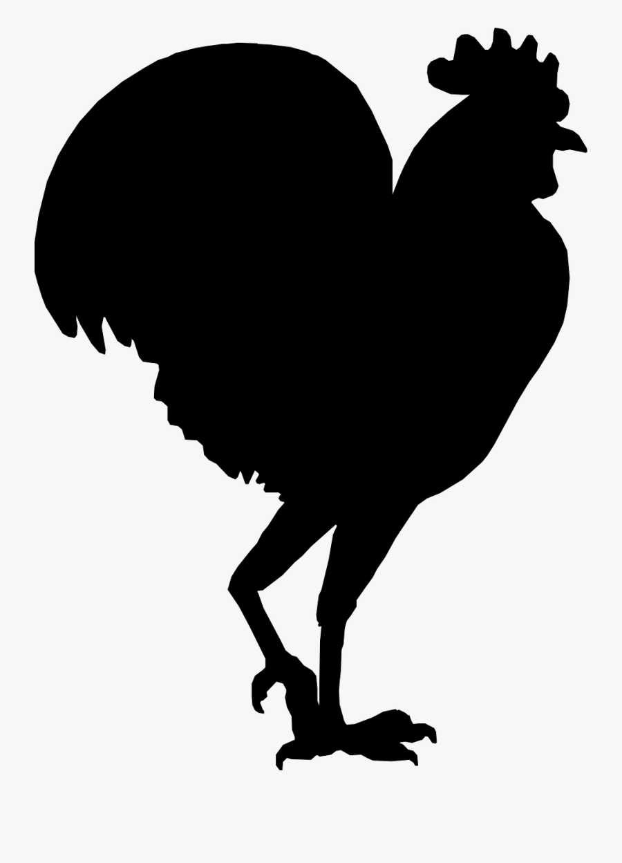 Galo Vetor Png, Transparent Clipart
