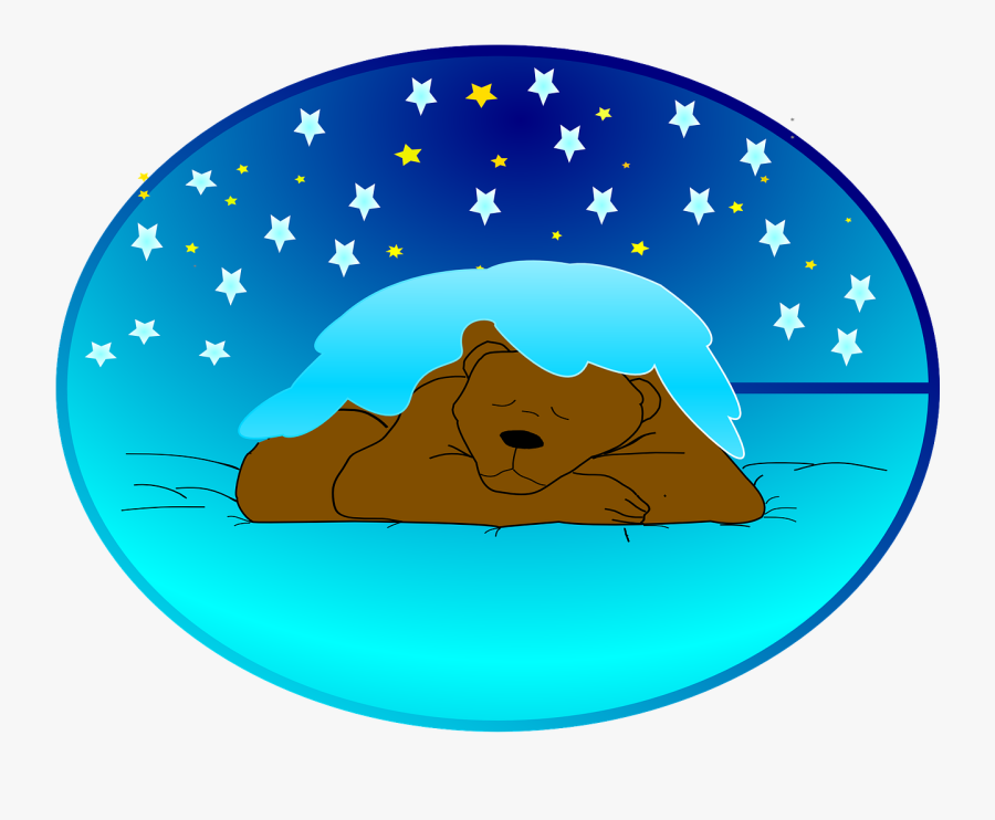 Silent Mortgages - Bear On Snow Drawing, Transparent Clipart