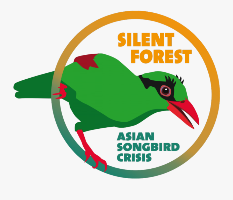 Transparent Elephant Reminder Clipart - Silent Forest Eaza, Transparent Clipart