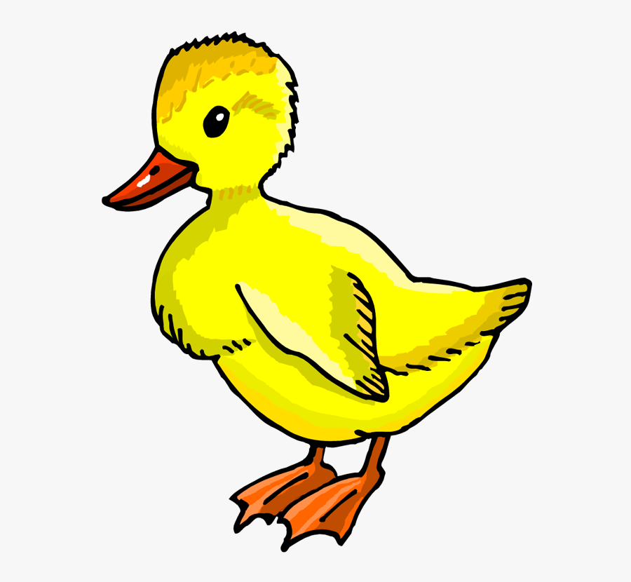 Duck Into Toddler Time - Transparent Background Duckling Clipart, Transparent Clipart