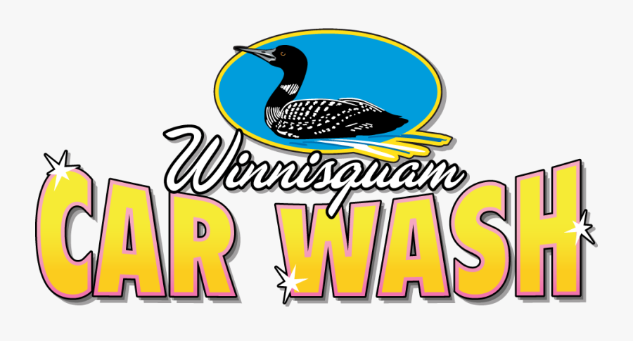 Winnisquam Car Wash - Loon, Transparent Clipart