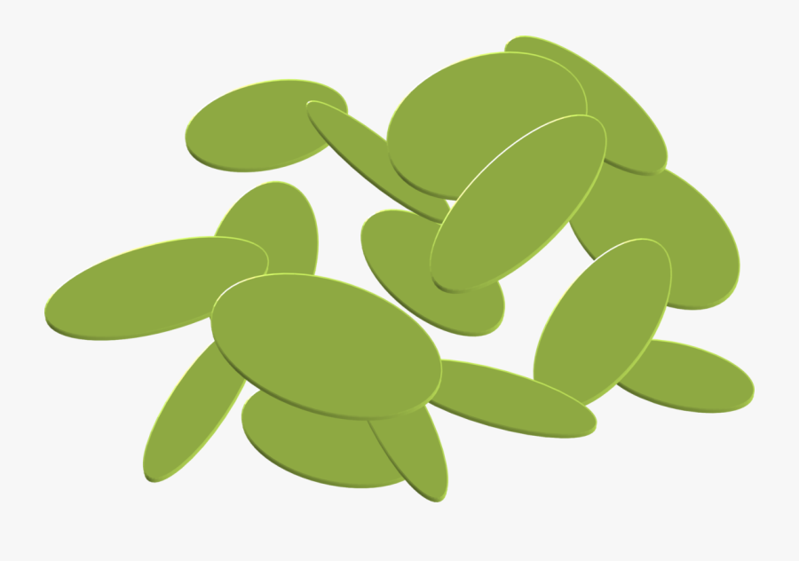 Free Laponite &quot - Fruit, Transparent Clipart