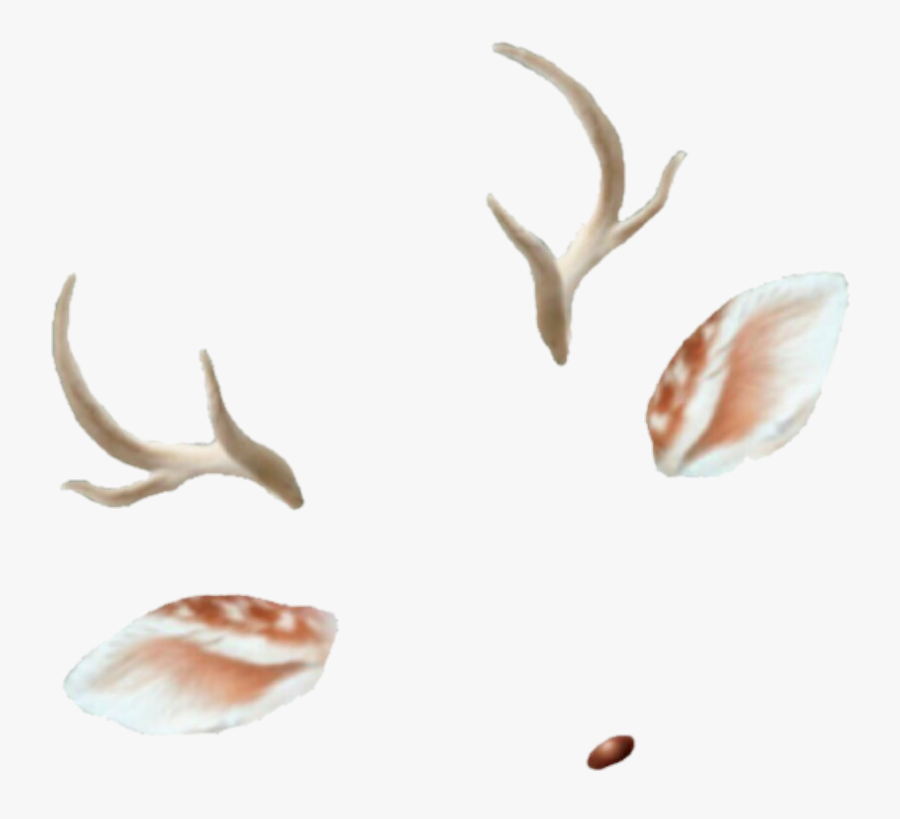 Transparent Bronc Clipart - Deer Snapchat Filter Png, Transparent Clipart