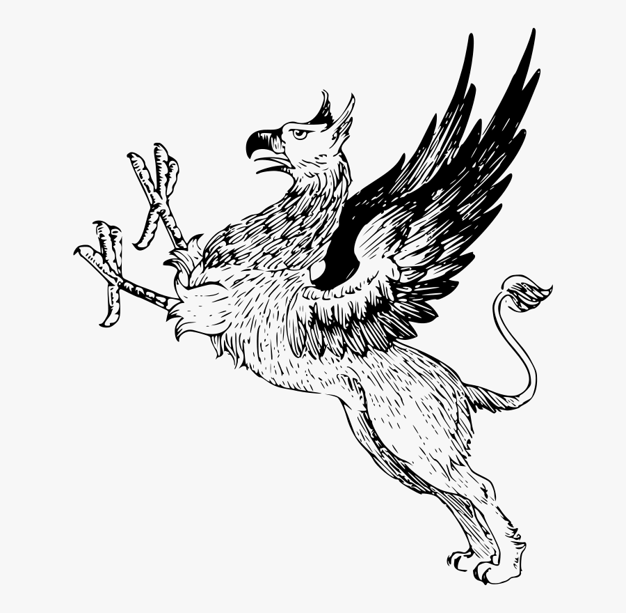 Griffin - Griffin Vintage, Transparent Clipart