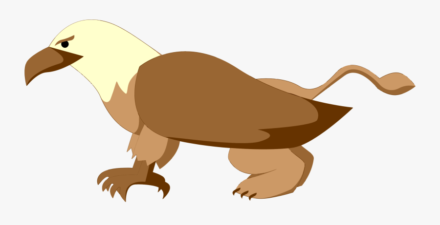 Vulture,flightless Bird,wildlife - Portable Network Graphics, Transparent Clipart