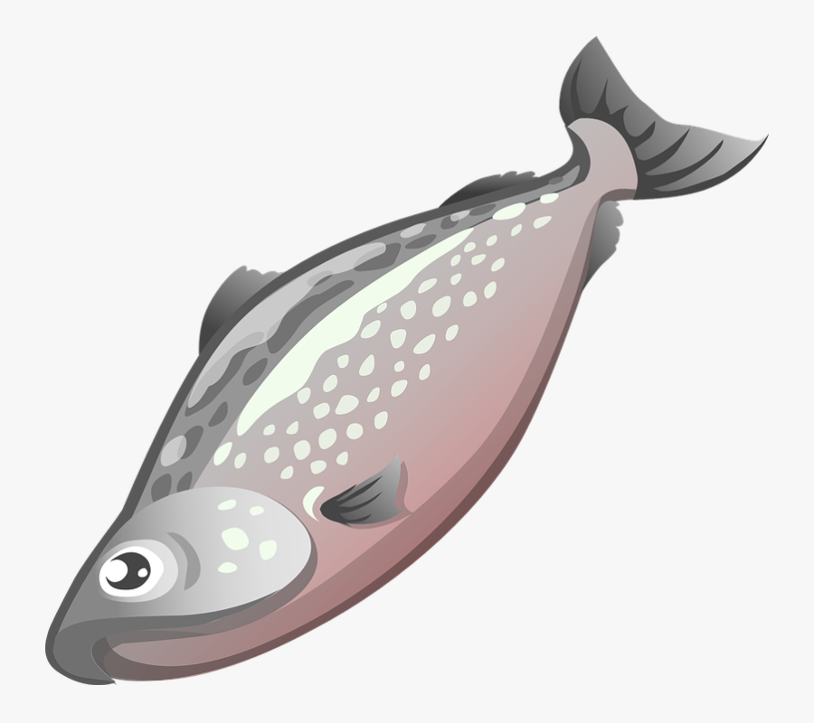 Fish On A Plate Clipart - Salmon Clipart Transparent, Transparent Clipart