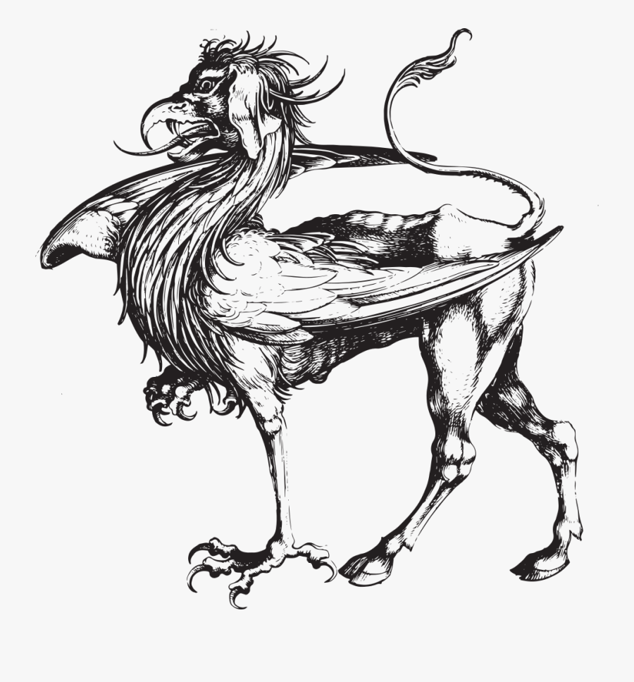 Art,monochrome Photography,rooster - Griffin Engraving, Transparent Clipart