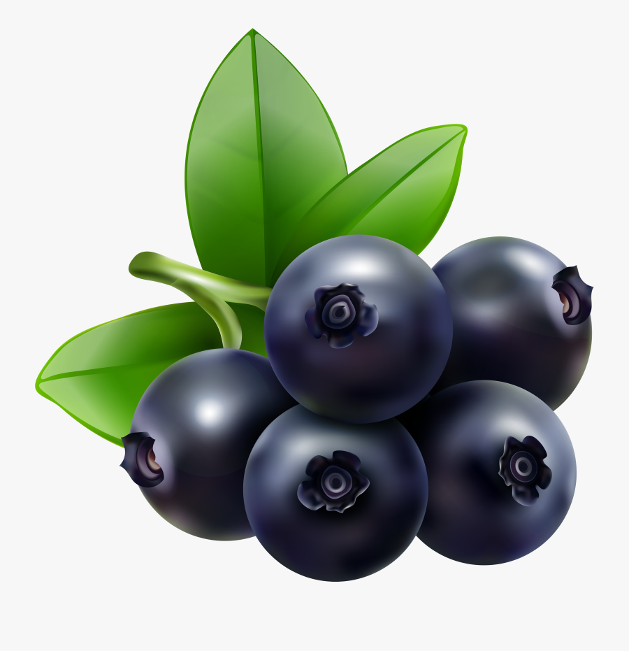 Clip Art Blueberry Clip Art - Açai Na Casquinha Png, Transparent Clipart