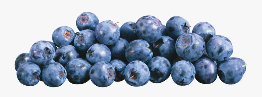 Blueberries Png, Transparent Clipart