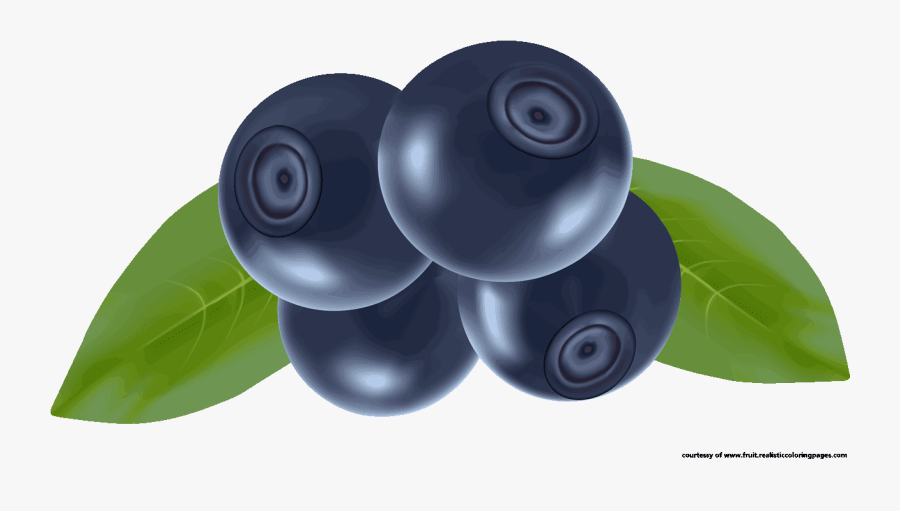 Blueberry Fruit Clipart - Blueberry And Banana Clipart Png, Transparent Clipart