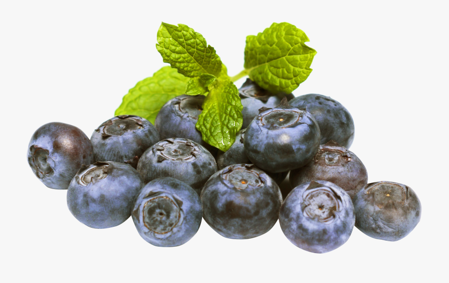 Blueberries Png Image - Blueberries Funny, Transparent Clipart