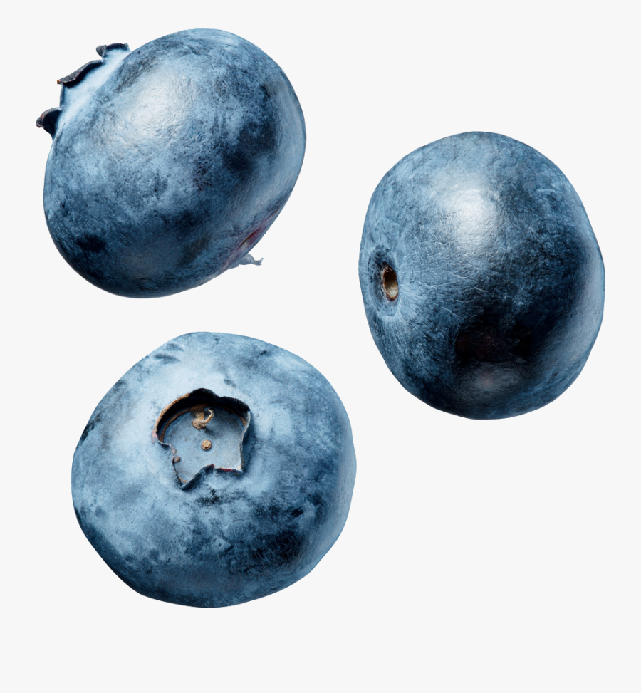Blueberries Png - Blue Berry Png, Transparent Clipart