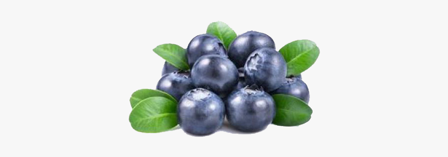 Bilberry - Blue Transparent Background Blueberry Png, Transparent Clipart