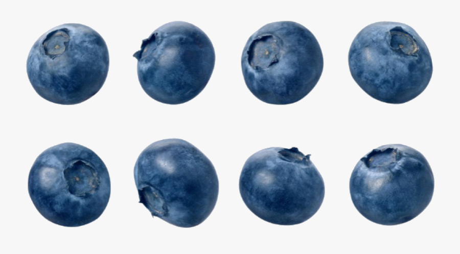 Transparent Single Blueberry Png - Blueberry Png, Transparent Clipart