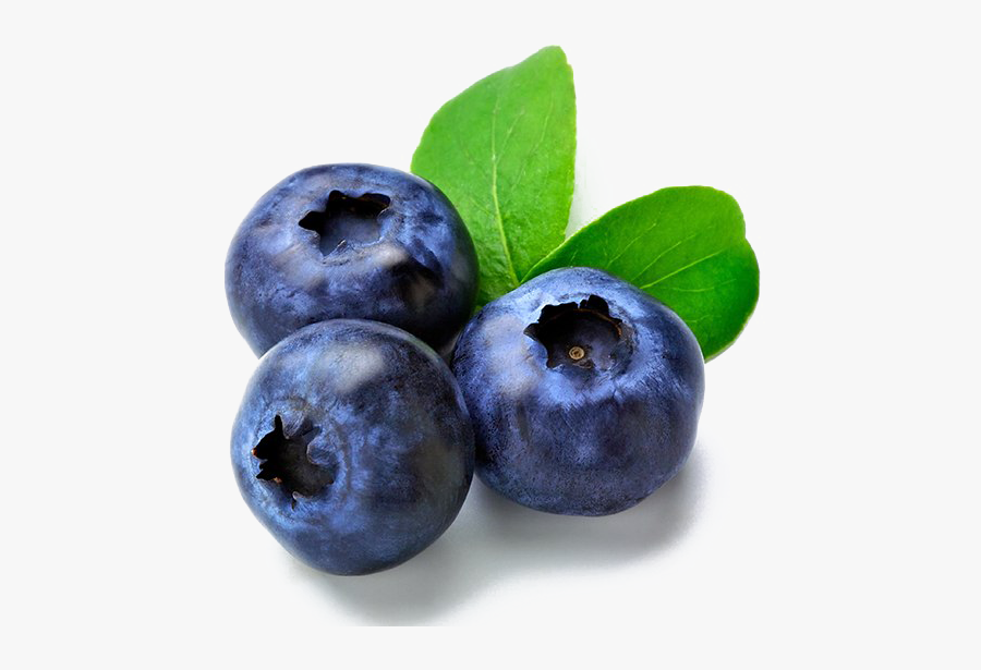 Blueberry Fruit Png - Imagen De Mora Azul, Transparent Clipart