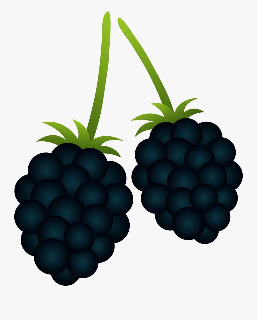 Berries Clipart - Blackberries Clipart, Transparent Clipart