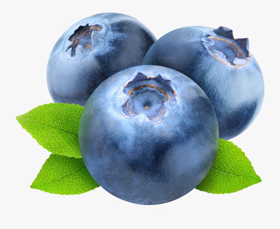 Transparent Background Blueberry Clipart Free Transparent Clipart Clipartkey