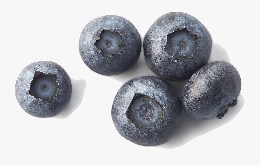 Blueberries Png File - Черника 1 Ягода, Transparent Clipart