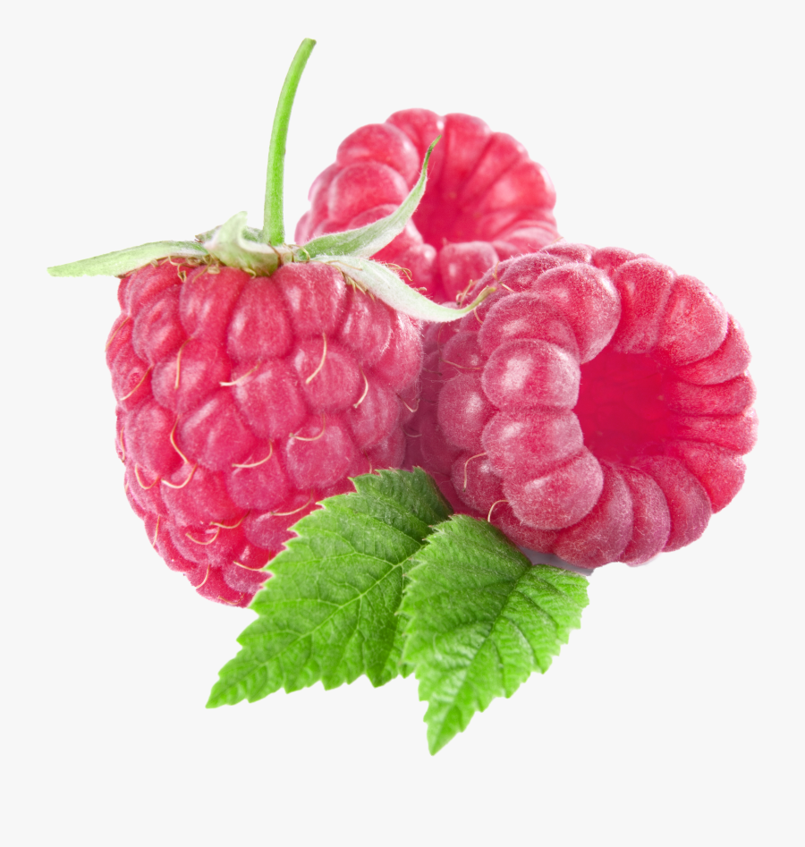 Raspberry Clipart, Transparent Clipart