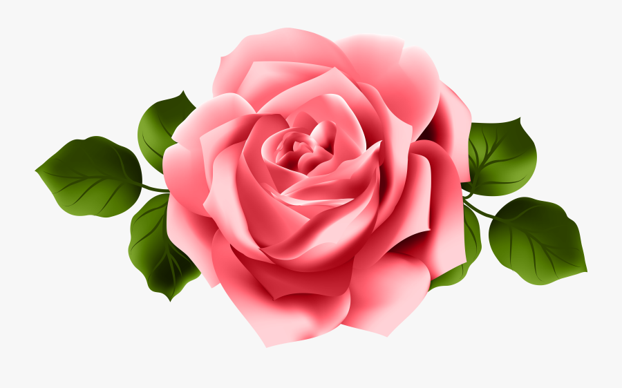 Pink Red Rose Png, Transparent Clipart