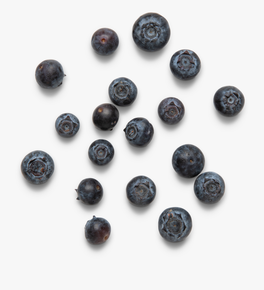 What"s Inside Split - Blueberry, Transparent Clipart