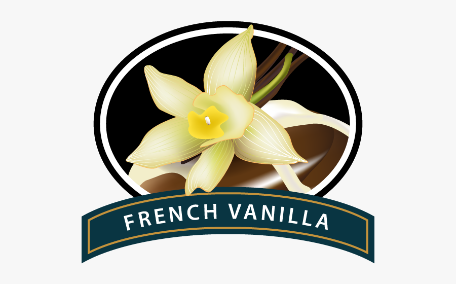 French Vanilla Coffee Logo, Transparent Clipart