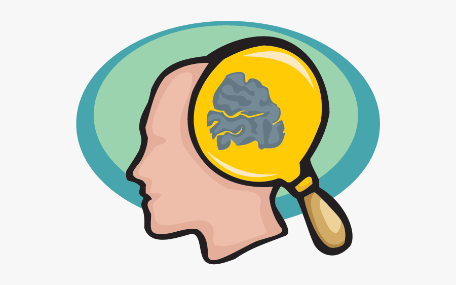The Brain - Facts - Brain Facts Clip Art, Transparent Clipart