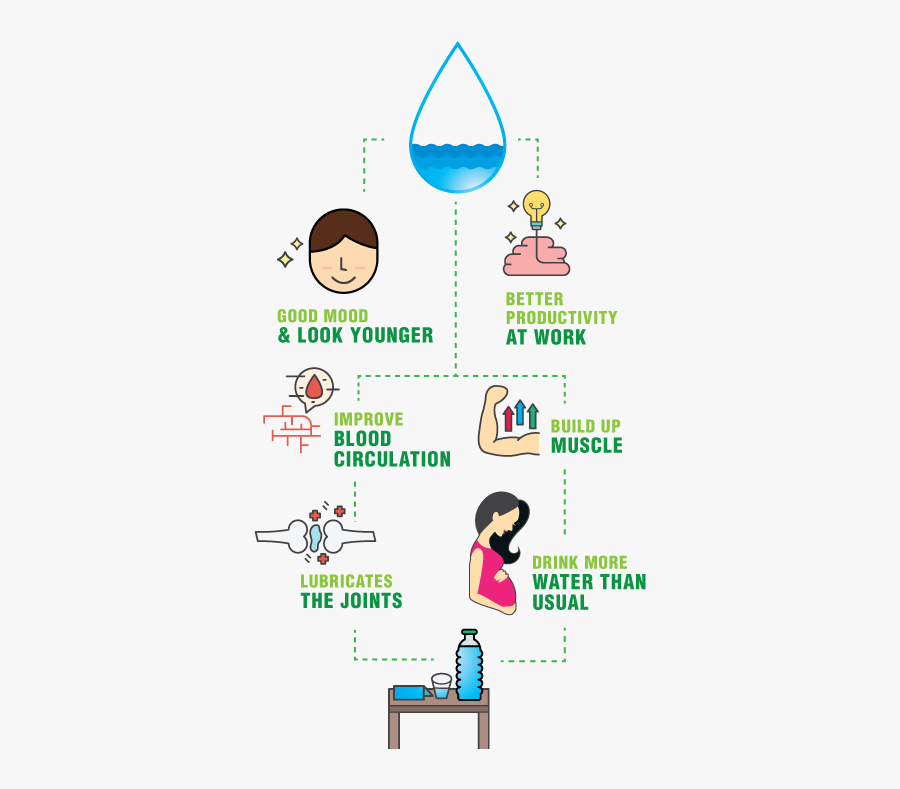 Water A Key Element - Fun Water Facts, Transparent Clipart