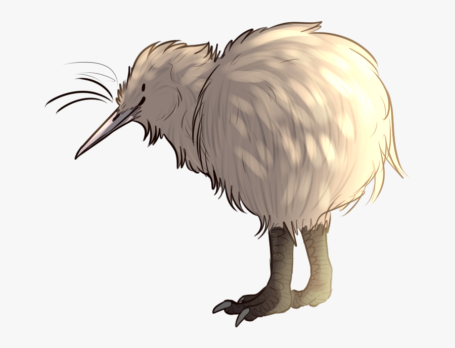 7 Curious Facts That Prove Kiwis Are Amazing Little - Cartoon Kiwi Bird Transparent Background, Transparent Clipart