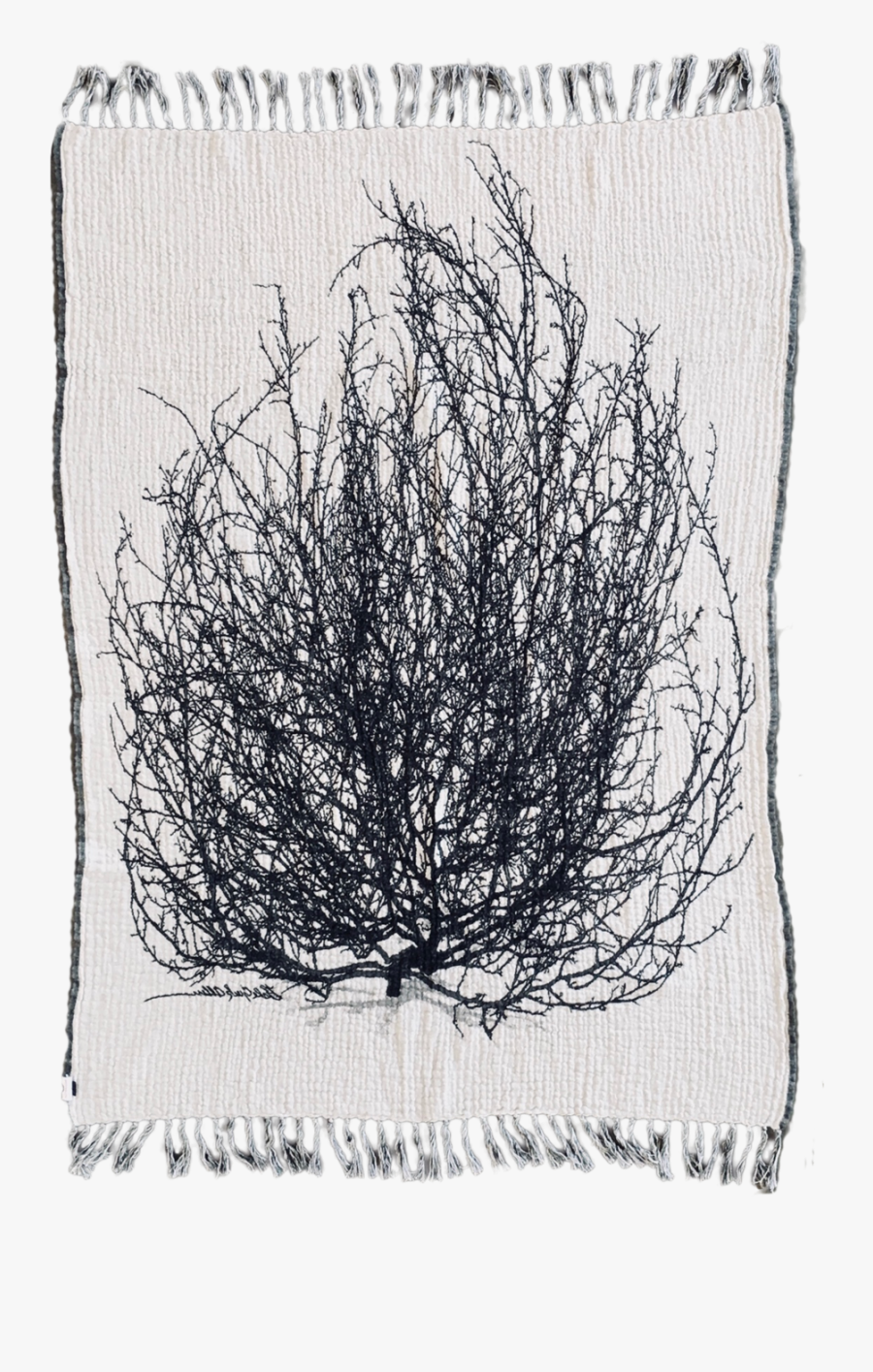 Tumbleweed Textiles - Thread - Thread, Transparent Clipart