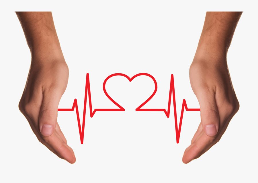 Cupping Hands Heart Ekg - Estres En La Salud, Transparent Clipart