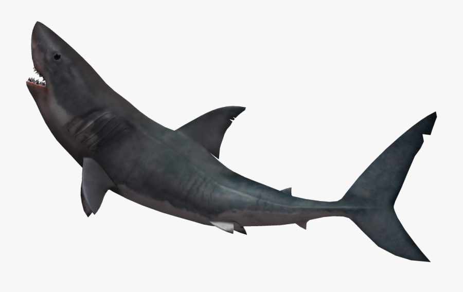 Shark Fin Soup Great White Shark Clip Art - Great White Shark Transparent Background, Transparent Clipart