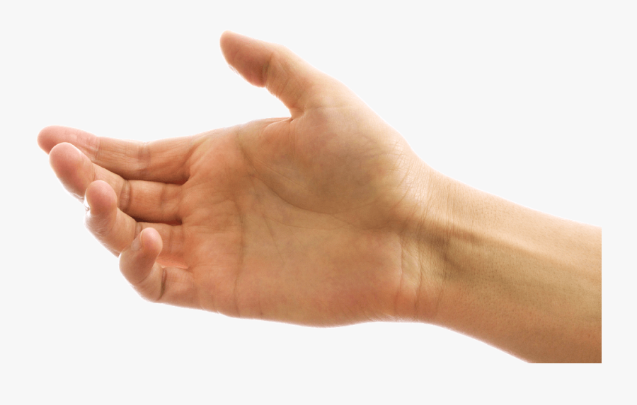 Clip Art Transparent Arms Hand, Transparent Clipart
