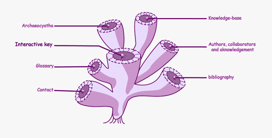 Clip Art, Transparent Clipart