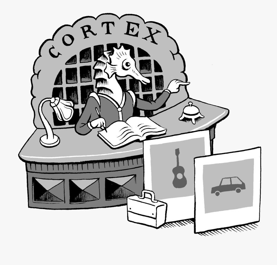 Experiment - Hippocampus Brain Cartoon, Transparent Clipart