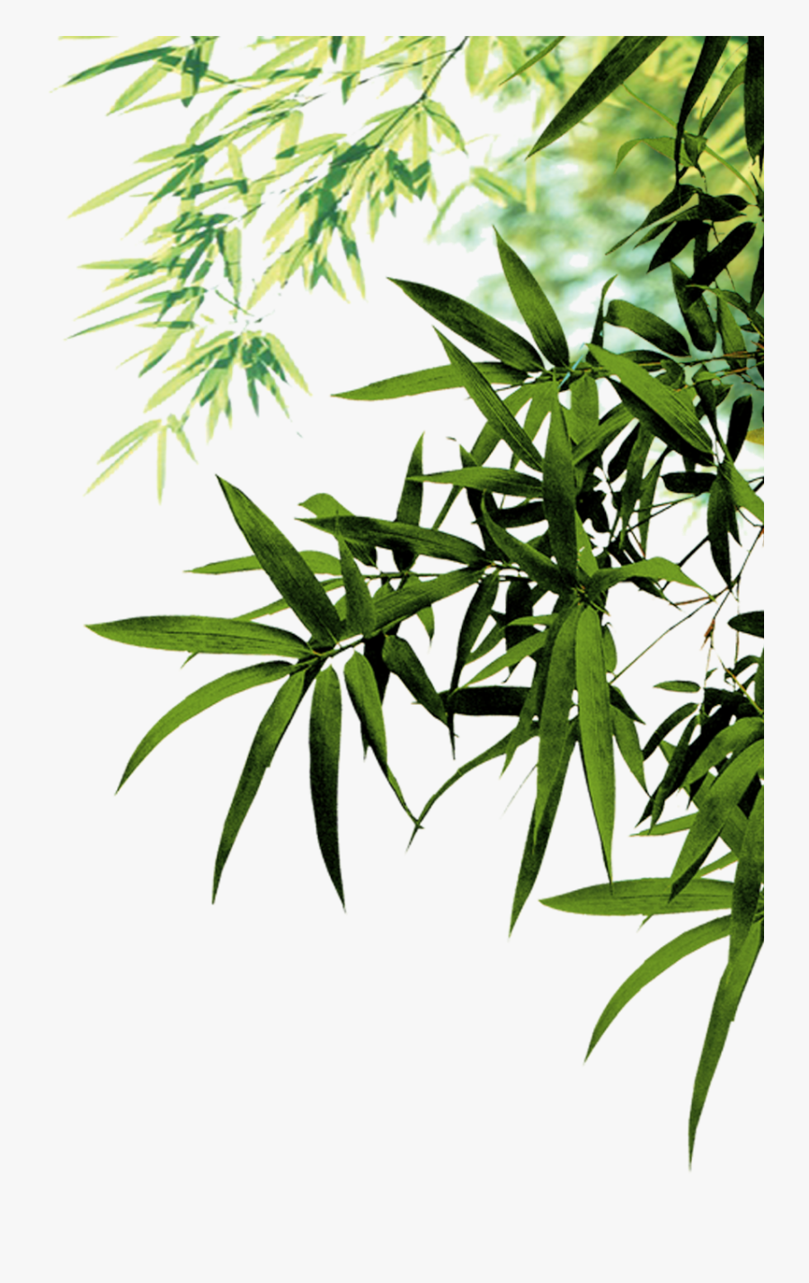 Bamboo Icon Leaf Leaves Ink Png File Hd Clipart - Transparent Bamboo Leaves Png, Transparent Clipart