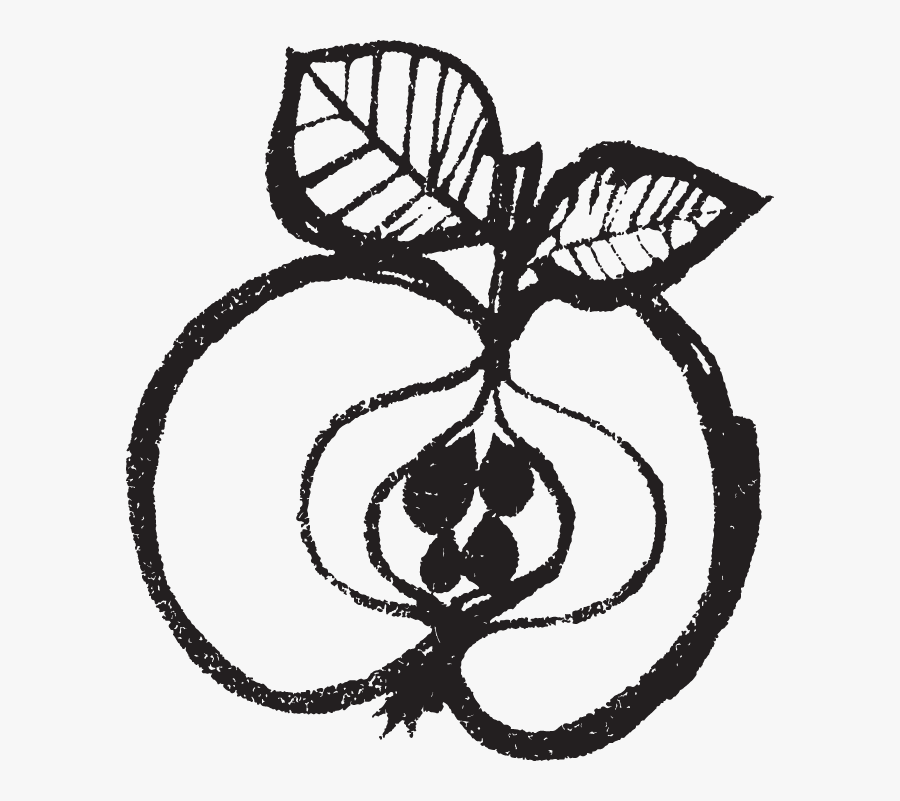 Drawing Apple Ink Picture Freeuse Stock - Clip Art , Free Transparent Clipa...