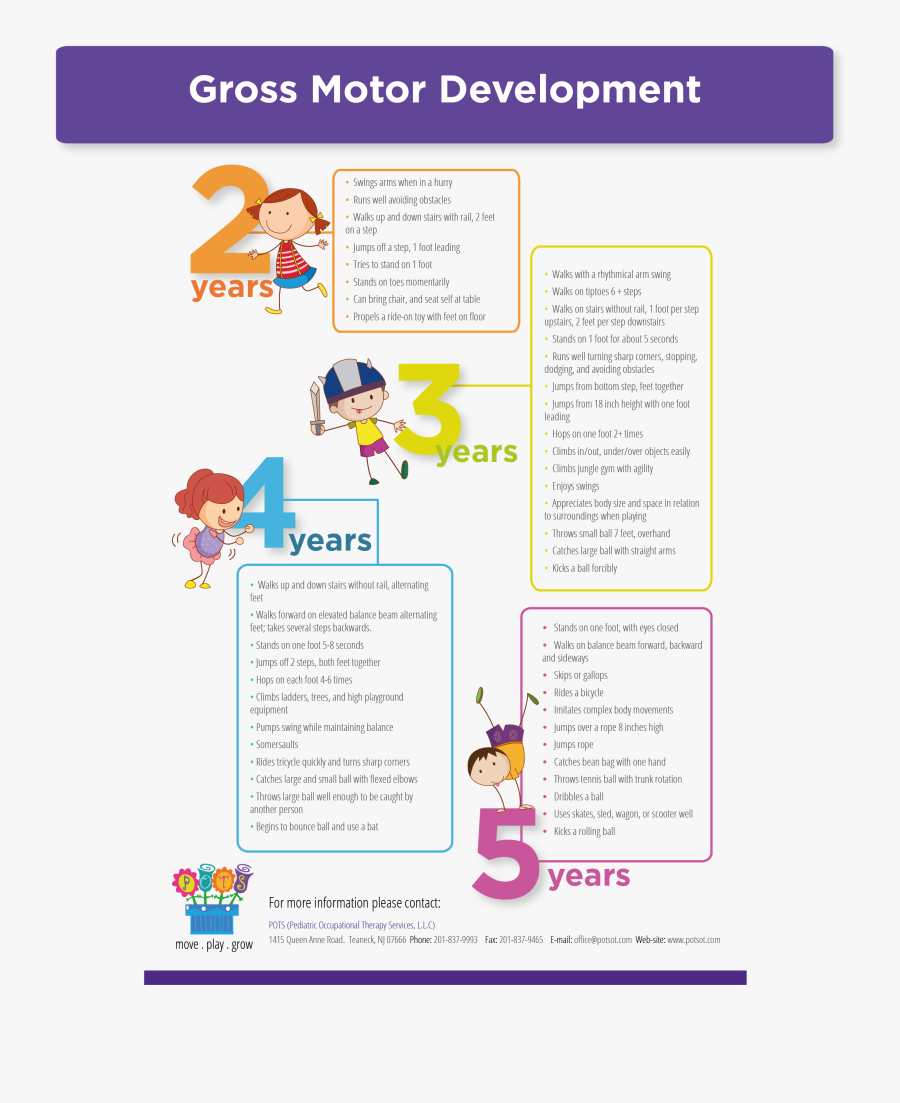 Clip Free Library Gross Moter Development Infographic - Gross Motor Physical Development, Transparent Clipart