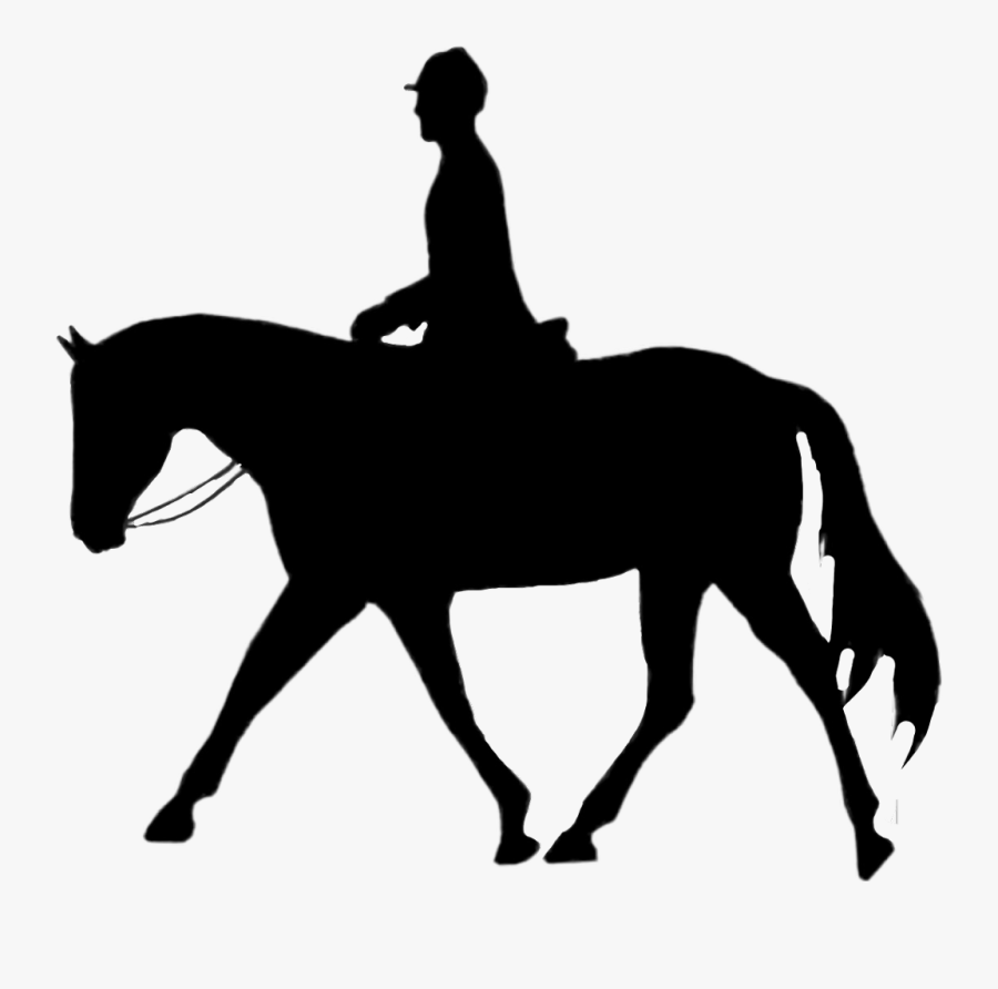 #horse #black #dressage #hunters #ottb #champion #clipart - Horse And Rider Silhouette, Transparent Clipart
