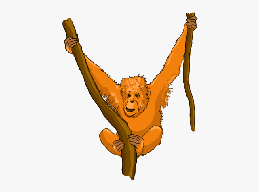 Cartoon Orangutan - Cartoon Orangutan No Background, Transparent Clipart