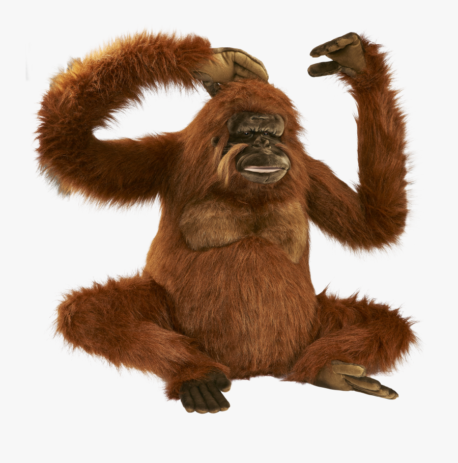 Fingerprint Transparent Orangutan, Transparent Clipart