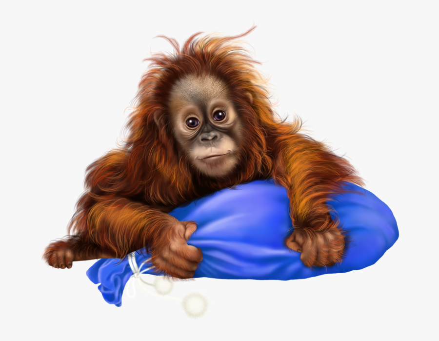 Goeie More, Transparent Clipart